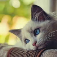 Người chơi Liễu Thùy My tại rio66